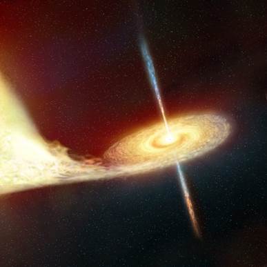 How cold are black holes?