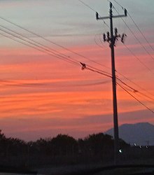 A picture containing sky, outdoor, sunset, light

Description automatically generated