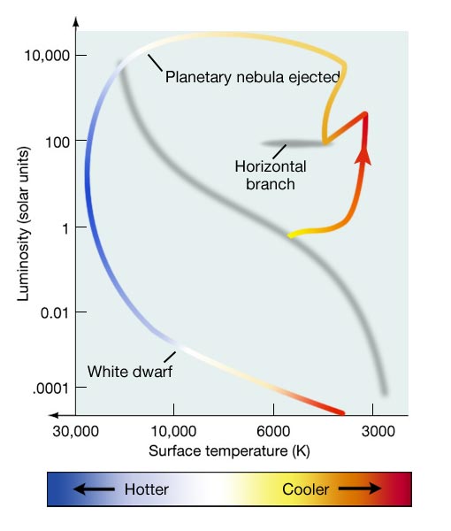 Description: Description: Graph showing the complete evolutionary track on an HR diagram of a Sun-like star, which traces the changes of its temperature and luminosity as it evolves from a Main Sequence star, to a Red Giant, to a White Dwarf.
